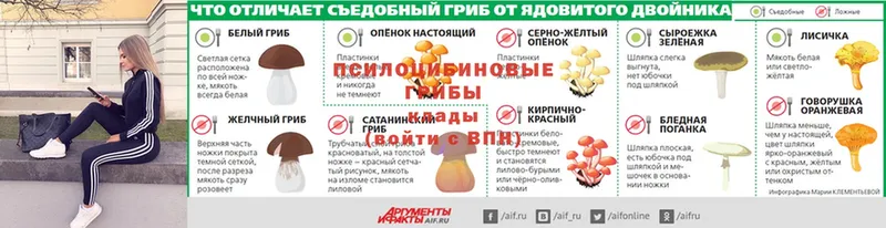 гидра ссылка  Арск  Галлюциногенные грибы мицелий 